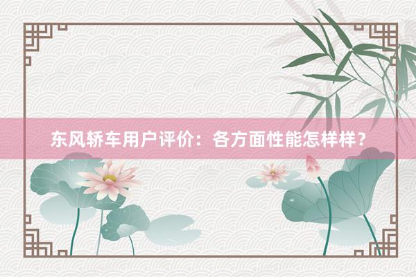东风轿车用户评价：各方面性能怎样样？